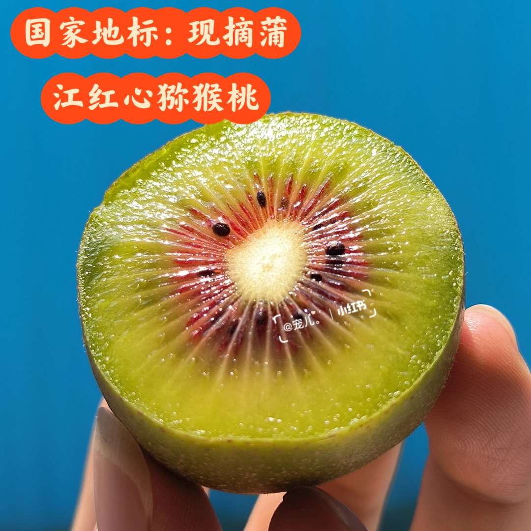 国家地标农产品核心产区蒲江红心猕猴桃