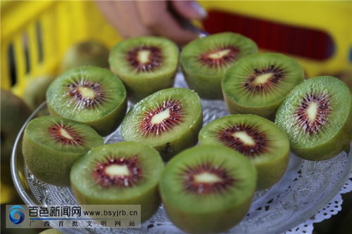 乐业红心猕猴桃今日上市