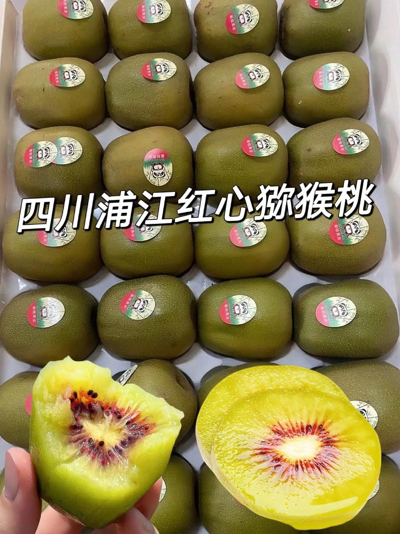 这个蒲江红心猕猴桃是特早熟红心品种,抗逆性强.