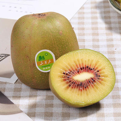 红心猕猴桃批发市场