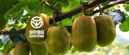 后厨调味丨穿越江河的川菜之魂,送来古蜀之地的悠悠酱香