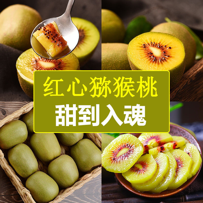 四川红心猕猴桃 精选大果，新鲜采摘，应季爆甜