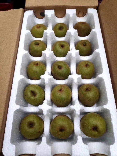 浦江红心猕猴桃 1颗不到1元，甜蜜多汁的VC之王