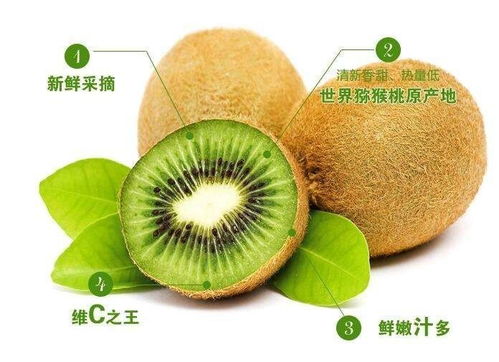 翠香猕猴桃 红心猕猴桃的完美替代品