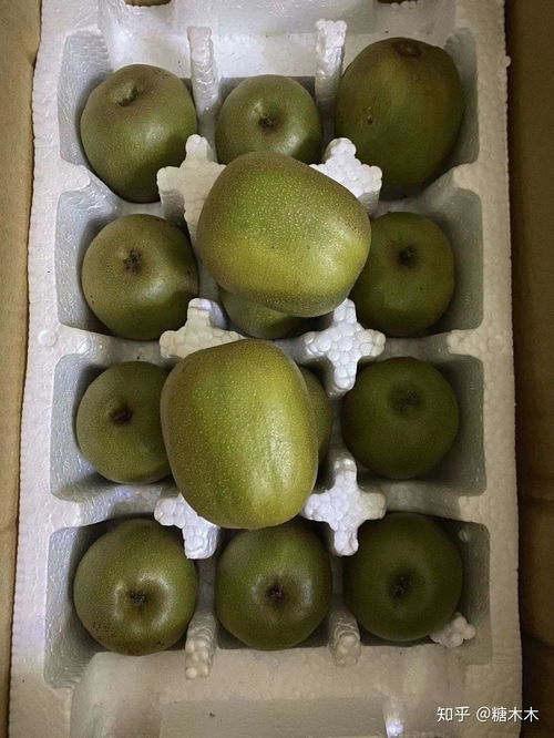 红心猕猴桃 口感、营养与选择