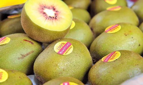 超甜多汁的蒲江红心猕猴桃，火爆热销20000件等你来尝