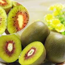 苍溪县八庙镇总共坪家庭农场 匠心培育，红心猕猴桃的甜蜜馈赠