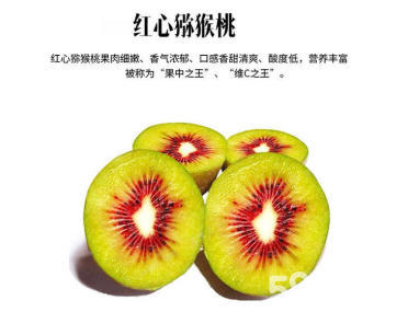 成都周边优质红心猕猴桃奇异果采摘园指南