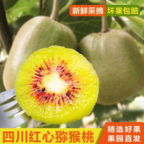 蒲江红心猕猴桃 应季鲜果，孕妇臻选，现摘现发的自然馈赠