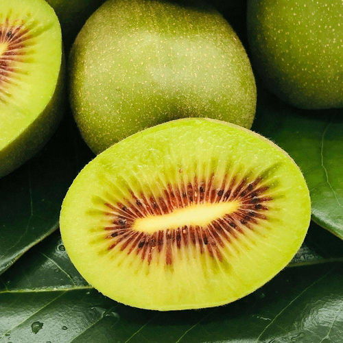 世界公认的黄金产区 一口接一口根本停不下来的红心猕猴桃