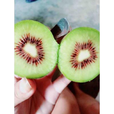 小钕果园 专业红心猕猴桃供应商，中国惠农网优质批发之选